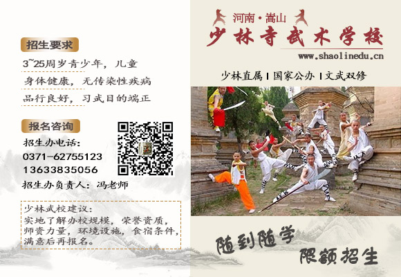 河南少林寺武术学校