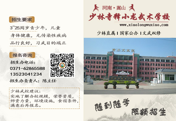 少林寺释小龙武术学校