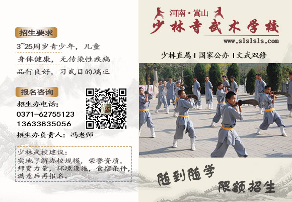河南少林寺武术学校
