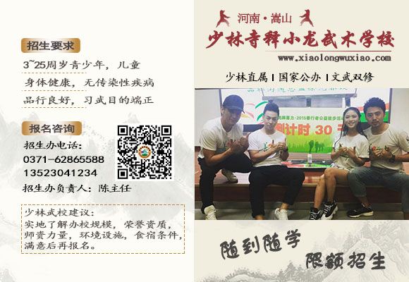 少林寺释小龙武术学校