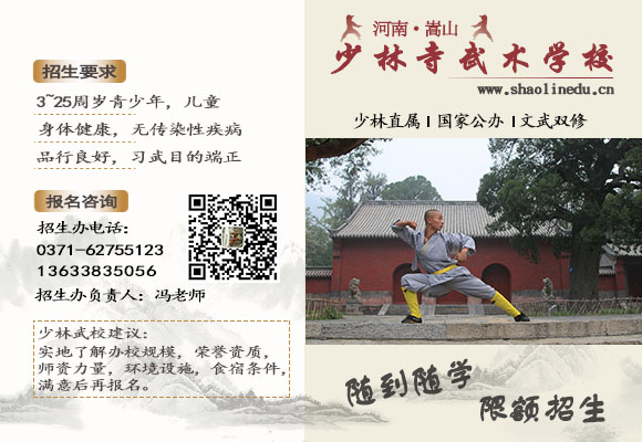 河南少林寺武术学校