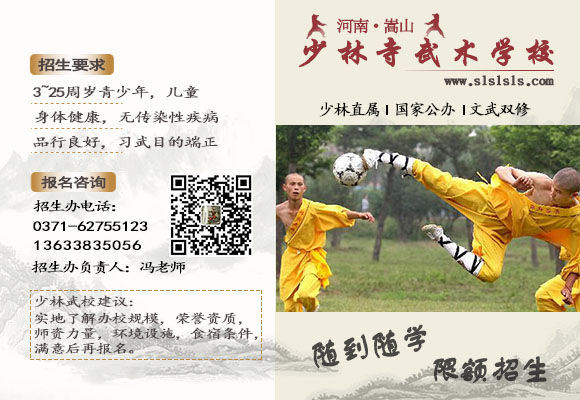 嵩山少林寺武术学院