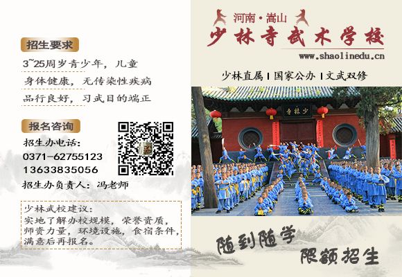河南少林寺武术学校