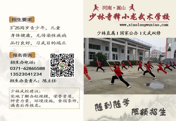 少林寺释小龙武术学校