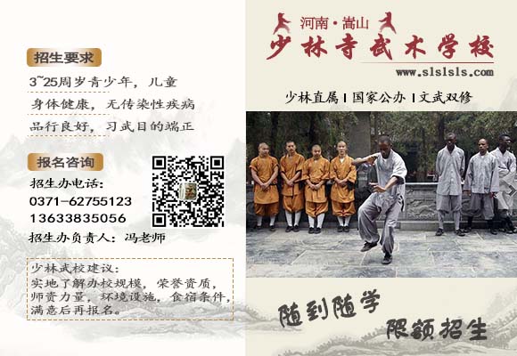 河南少林寺武术学校