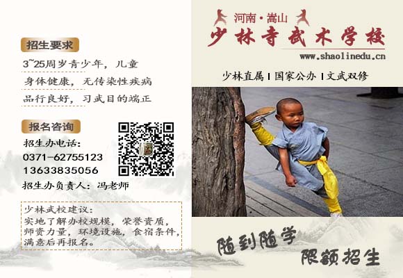 河南少林寺武校