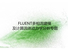 FLUENT多相流建模及计算流体动力学