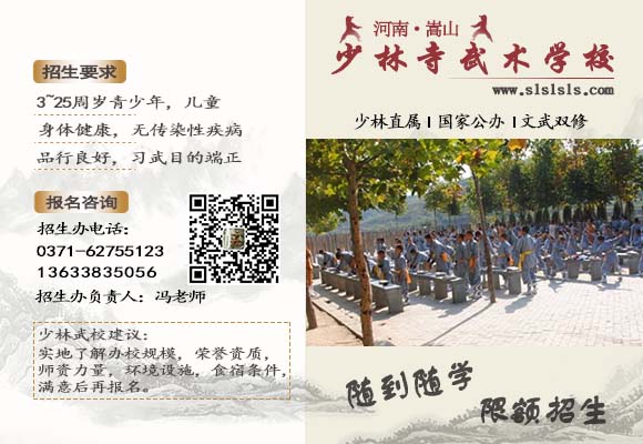 河南少林寺武校