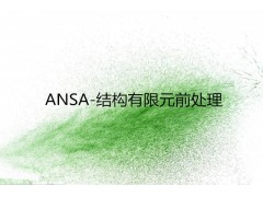ANSA-结构有限元前处理