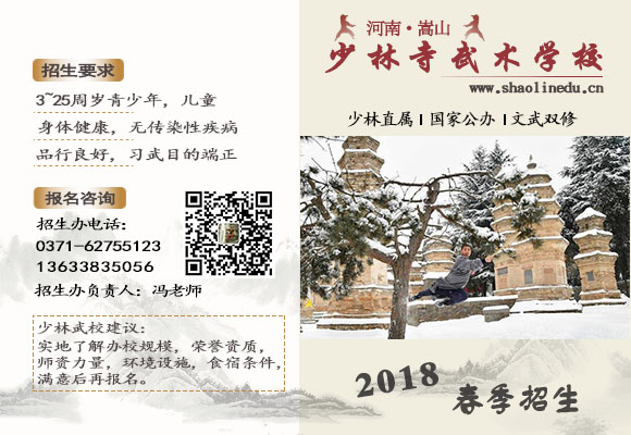 河南少林寺武术学校