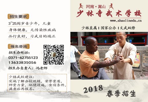河南少林寺武术学校