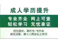山东大学网络教育学历、上海学习中