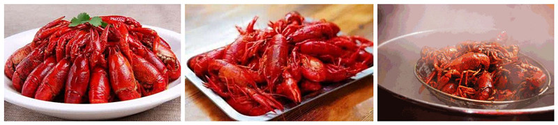 1498980388267054.jpg initpintu_副本.jpg