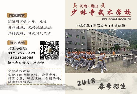 河南少林寺武术学校