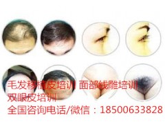 我想学习头发移植,请问哪教头发移植