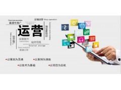 上海网店推广培训、闵行网站优化培