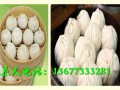 长沙正宗杭州小笼包培训