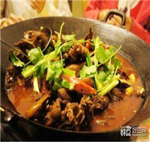 钱粮湖土鸭培训