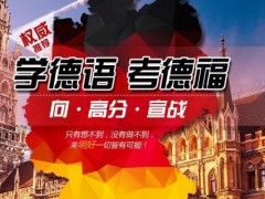 上海德语辅导课程、外籍教师团队授