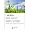 吴江暑假成人英语培训学校，业余晚上英语上课的