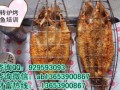 烟台有转炉烤鱼培训学校吗  醉炉烤鱼专业技术班