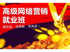 上海网络营销推广运营师培训学习,怎