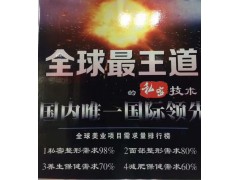 北京有几家一指私密培训术全国招生