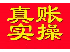 惠阳淡水哪里有会计真账实操班可以