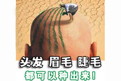 植发9666.jpg 植发9666.jpg