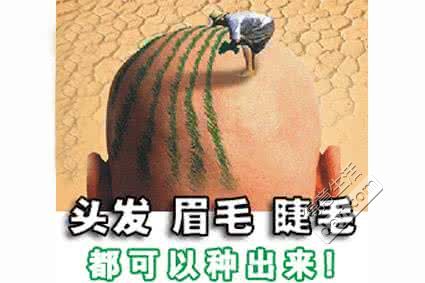 植发9666.jpg