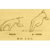 六盘水盘县在哪学习专业的中医小儿推拿培训及考证