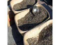 全国炒货培训学校配方教会