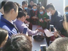 三伏贴乳膏剂及美容涂膜剂新型膏药
