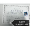 北京交通大学工程管理自考本科学位还能免考吗