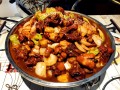 摇滚炒鸡培训热线是