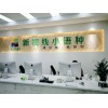 南京学日语哪家好？新视线暑假班了解一下！