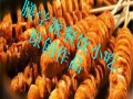 烤面筋培训，济宁哪里可以培训烤面筋技术