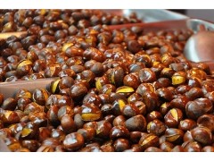 中山糖炒栗子培训价格