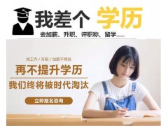 上海自考本科辅导机构哪个好、热门