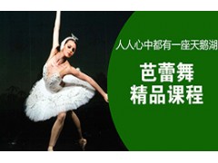 吴江芭蕾舞精品课程