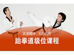 吴江跆拳道级位课程