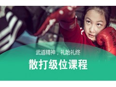 吴江散打级位课程