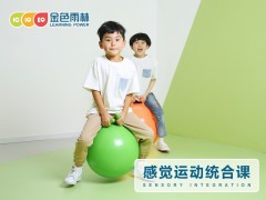 沧州感觉运动统合课