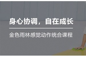 常州金色雨林关于感统训练常见误区