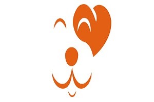 苏州给宠物美容的方法和步骤