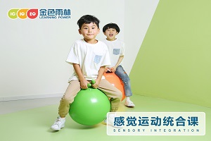 感统训练见效快不快?苏州金色雨林来解答