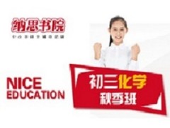 南京初三化学秋季课