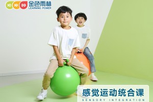 孩子到底有没有必要上感统课？上虞金色雨林怎么样