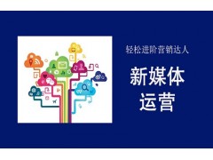 南通新媒体运营