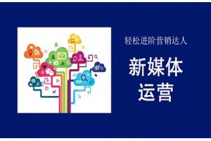 南通新媒体运营